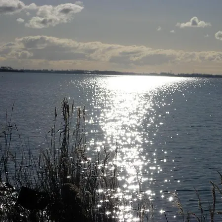 Kiebitzort Rügen
