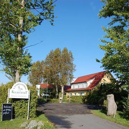 Kiebitzort Ruegen Ummanz