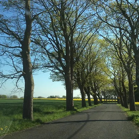 Kiebitzort Rügen