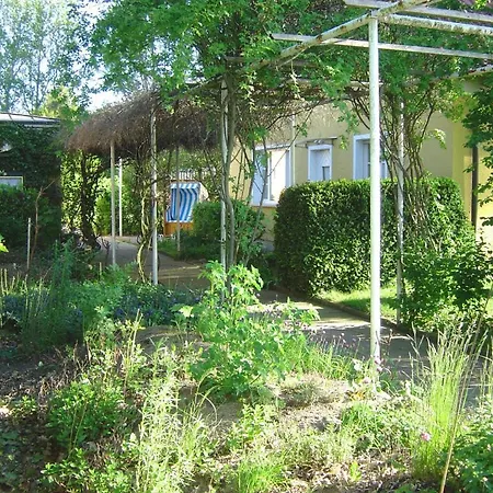 Kiebitzort Rügen * Ummanz