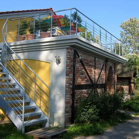 Kiebitzort Rügen * Ummanz