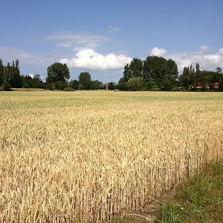 Kiebitzort Rügen * Ummanz