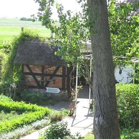 Kiebitzort Ruegen Ummanz