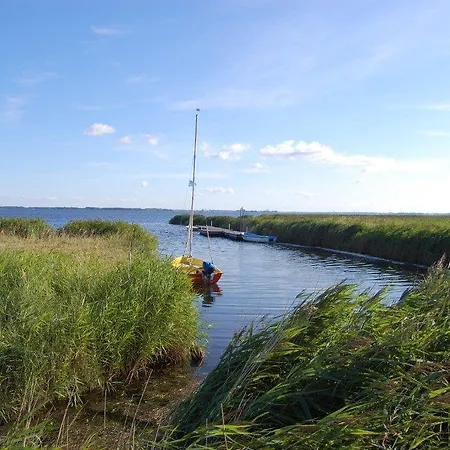 Kiebitzort Rügen