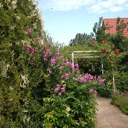 Kiebitzort Ruegen Otel